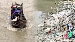 নাব্যতা সংকট ও দূষণের প্রভাব পড়েছে ইলিশের বংশবিস্তারে